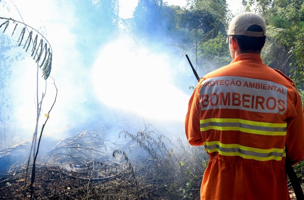Incêndio em reserva florestal no Parque das Palmeiras pode ter sido ato criminoso, afirma Corpo de Bombeiros
                
                    Prefeitura informa que queimada já foi controlada