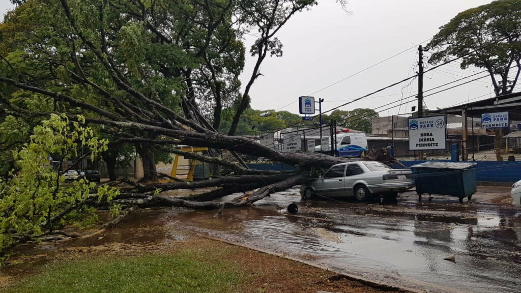 Vendaval derruba postes e árvores em Maringá na tarde de domingo. Veja as imagens da chuva de granizo