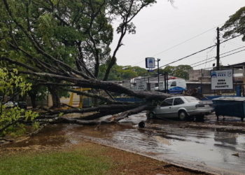 Vendaval derruba postes e árvores em Maringá na tarde de domingo. Veja as imagens da chuva de granizo