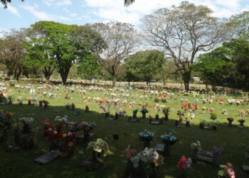 Cemitérios de Maringá ficam abertos das 8 às 18h neste sábado e no domingo - Dia dos Pais Para observar as regras dos decretos de enfrentamento à pandemia, entre as várias regras, não haverá cerimônias religiosas e nem a presença de vendedores ambulantes