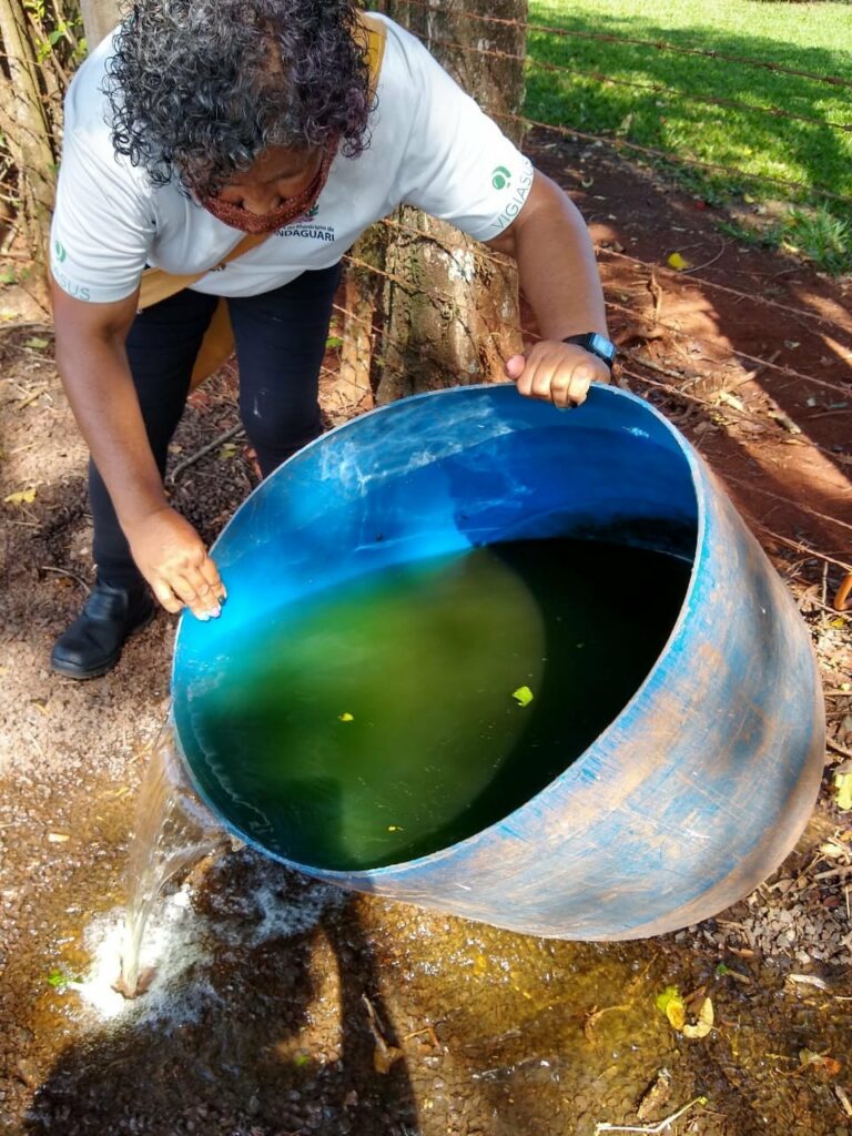 MANDAGUARI: Circulação de febre chikungunya em Apucarana gera alerta para a região