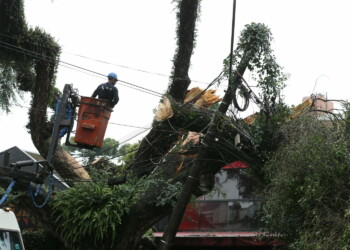 Vendaval no Paraná: Dados da Defesa Civil revelam que quase 20 mil foram atingidos ontem, (30).