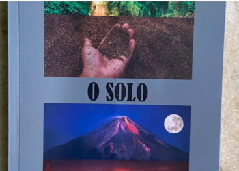 KOMBOTÂNICA: A dica de hoje é sobre o livro "O Solo" de Ulina Carvalho de Souza 2
