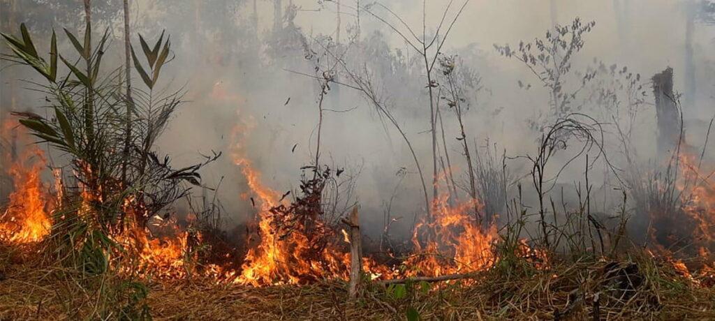 Secas no sul da Amazônia e no Pantanal foram as piores dos últimos 50 anos 2