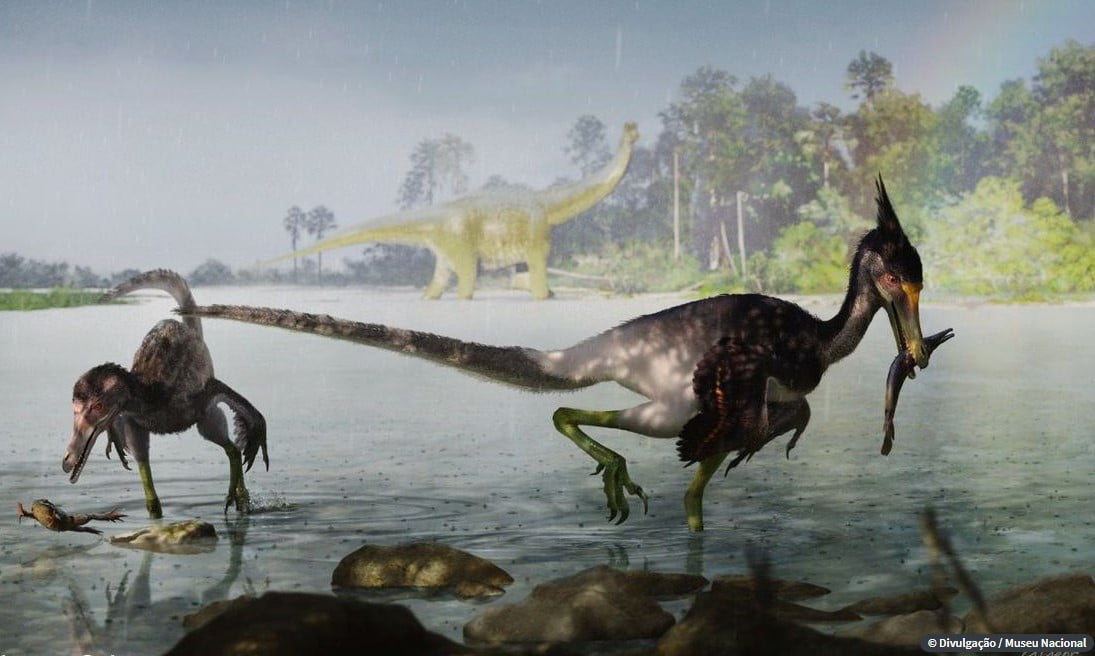 Estudo brasileiro descreve dinossauro que viveu no período Cretáceo 2