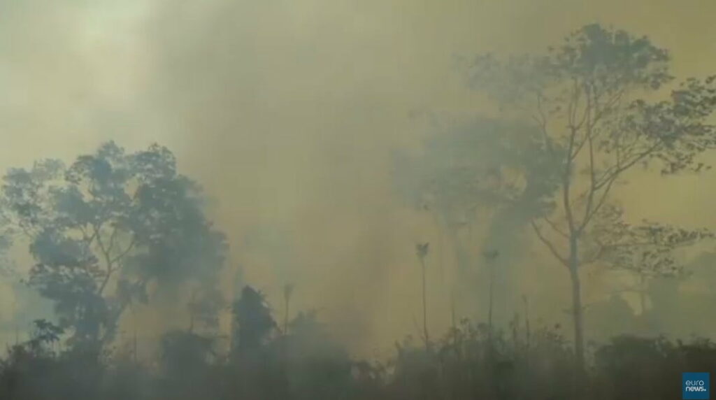 Amazônia perde 11 mil km2 de floresta em um  ano