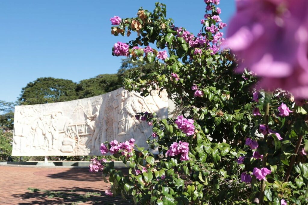 Boletim COVID indica cinco novos contágios em Sarandi nesta quinta. Novo decreto vale por 8 dias mas continuam valendo regras do decreto anterior