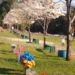 Cemitério Parque - foto - Arquivo O FATO MARINGÁ
