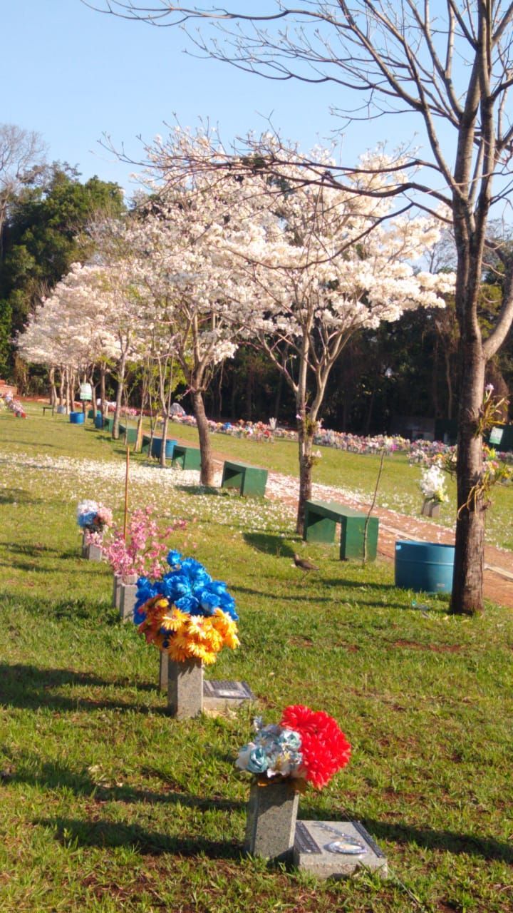 Cemitério Parque - foto - Arquivo O FATO MARINGÁ