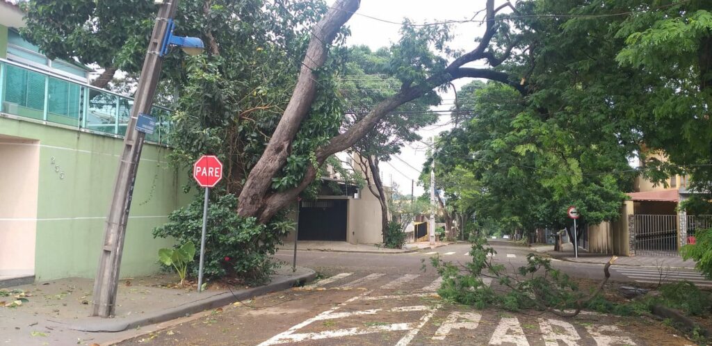 Com 38 postes quebrados Maringá ainda tem 3,7 mil residências sem energia