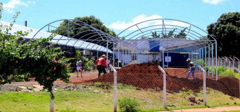 Com apoio da Prefeitura de Maringá, Viveiro de Flores do Piatã se organiza e aumenta produção para atender a região