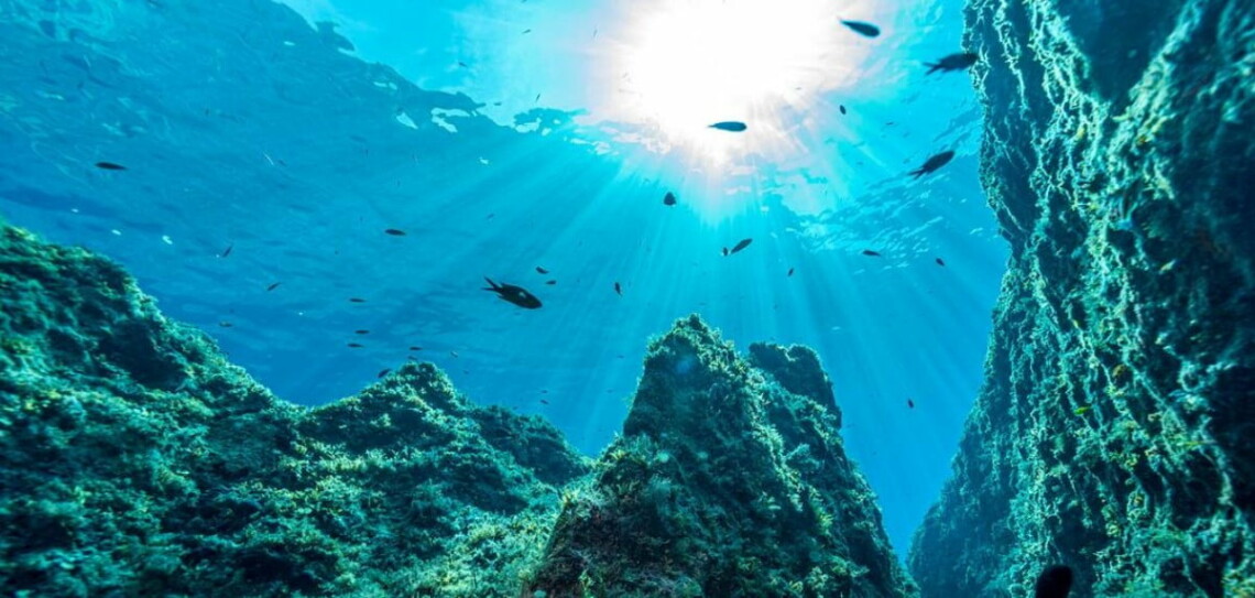 Conferência dos Oceanos pedirá mais ação por biodiversidade e contra poluição plástica