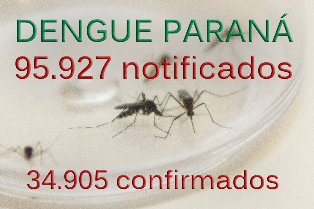 DENGUE: Paraná já tem  quase 100 mil casos notificados e 34.905 confirmados