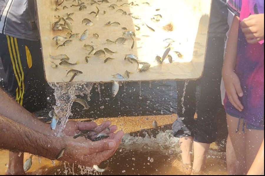 Em apoio a Desafio de Pesca, Governo promove soltura de 105 mil peixes nativos no Rio Paraná
                
                    Ação é do programa Rio Vivo, que envolve educação ambiental, com limpeza dos rios, soltura de peixes e plantio de mudas de árvores nativas. Soltura foi em parceria com a Associação Náutica de Pesca Esportiva de Missal (Anpemi).
