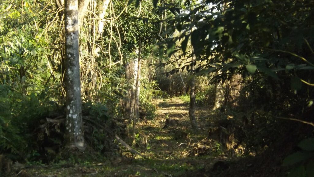 Estado e Faep divulgam cartilha para ajudar produtores rurais com questões ambientais
                
                    A cartilha é resultado de uma videoconferência realizada pela FAEP/SENAR-PR, com participação da Sedest e do Instituto Água e Terra (IAT). O material traz informações sobre outorga da água, Cadastro Ambiental Rural (CAR), Programa de Regularização Ambiental (PRA) e energias renováveis.