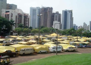 Feira do produtor do Willie Davids será na quinta-feira essa semana