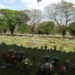 Finados: Em Maringá, não haverá missas nos cemitérios. Confira os horários das celebrações nas paróquias da Arquidiocese