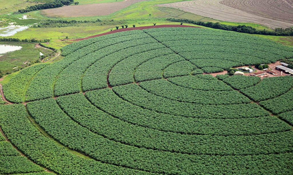 Governo fixa ações para avaliar importação de produtos agropecuários 2