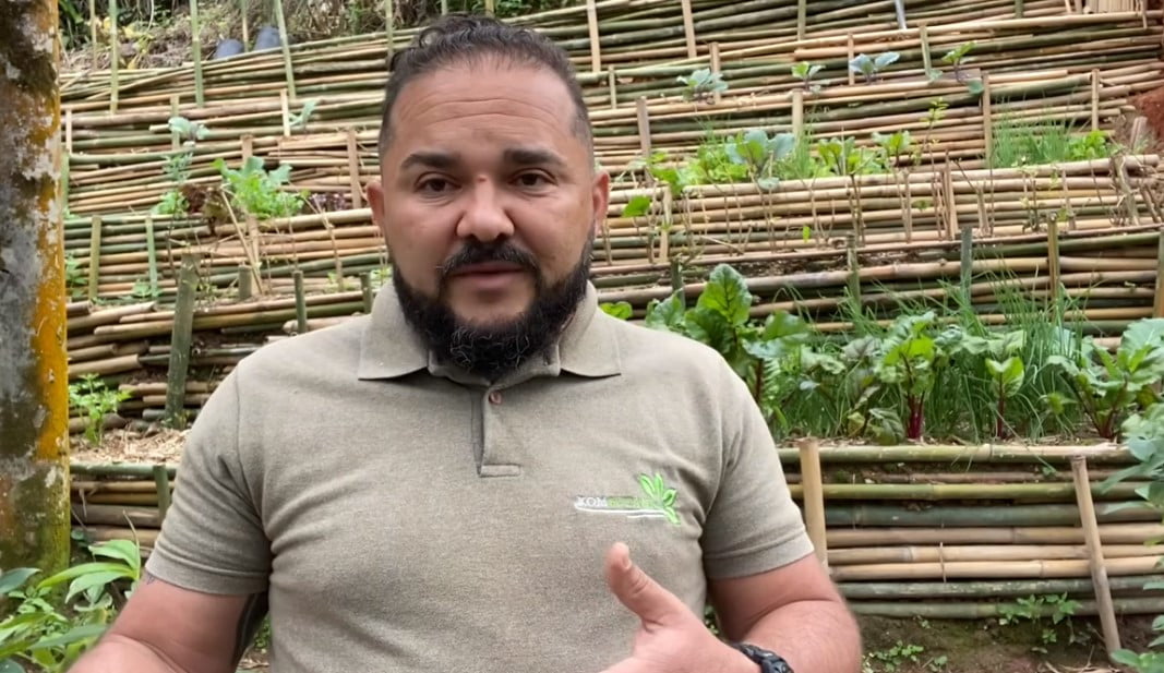 KOMBOTÂNICA: Tom Soares explica como cultivar plantas em consórcio