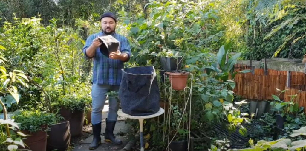 KOMBOTÂNICA:  Tom explica a importância de vasos de feltro para hortas em espaços limitados