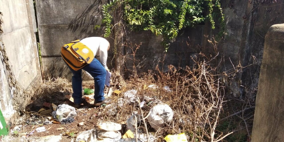 MANDAGUARI: Cenário epidêmico de dengue poderia ser pior na cidade