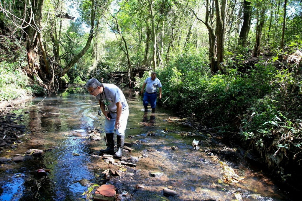 MARINGÁ: Meio Ambiente realiza plantio de mudas e limpeza de Ribeirão no "Dia do Rio"