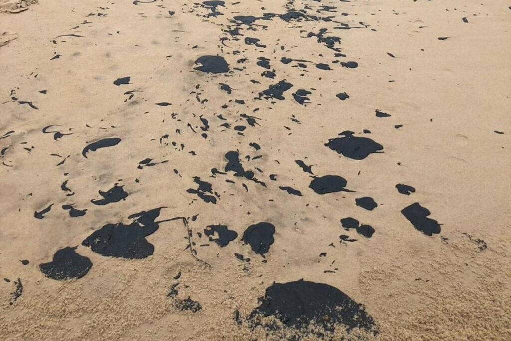 MEIO AMBIENTE: Manchas de óleo aparecem no Delta do Parnaíba, litoral do Piauí