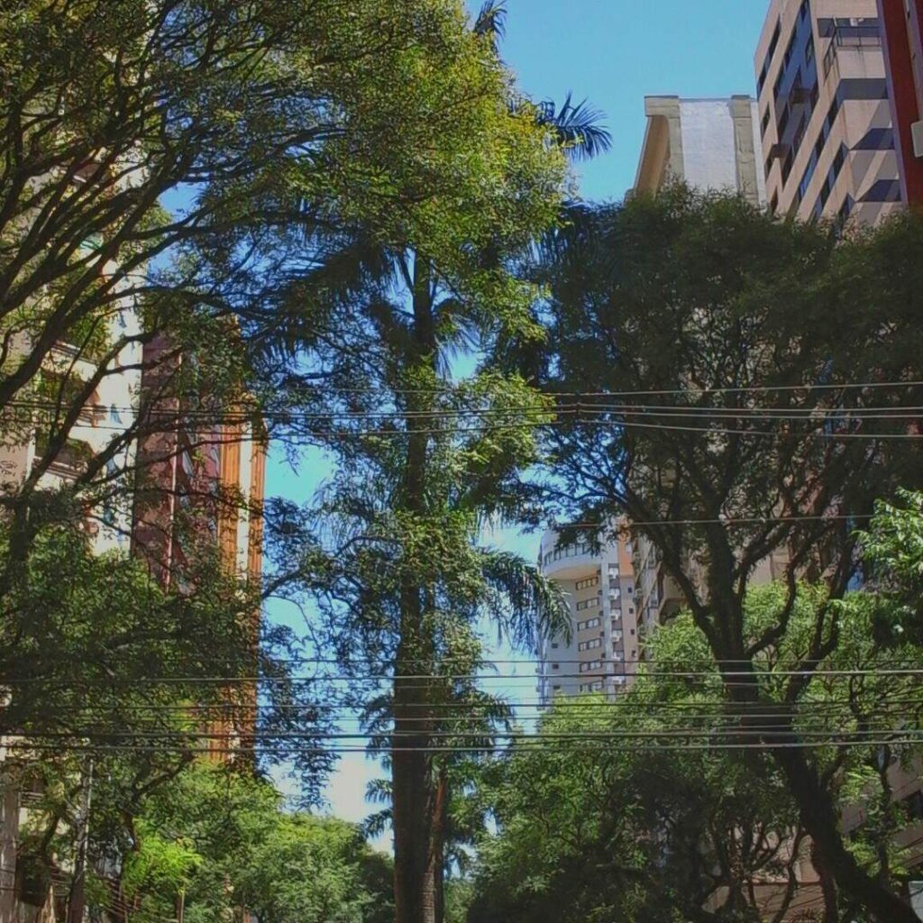 Maringá comércio de rua poderá funcionar até 18h nos dois primeiros sábados de fevereiro