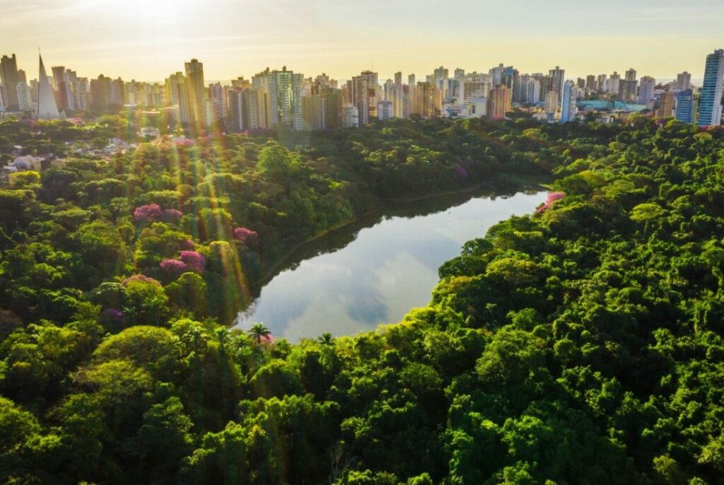 Maringá é reconhecida pela ONU como "Cidade Árvore do Mundo"