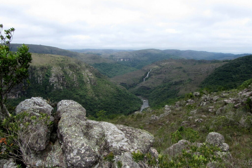 Municípios devem cadastrar as unidades de conservação
                
                    Além de contribuir para a base de dados do Estado, o cadastro dessas áreas municipais é importante para aplicação de políticas de gestão e conservação, como o ICMS Ecológico e Pagamento por Serviços Ambientais.