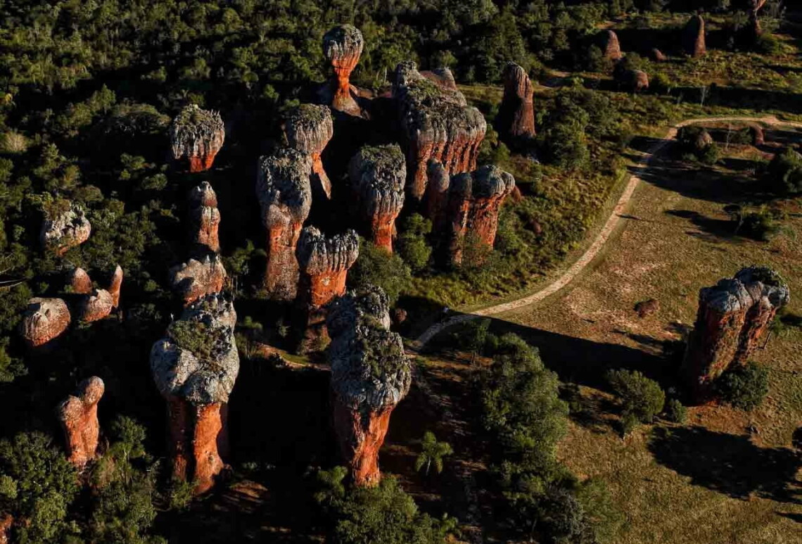 PARANÁ : 15 parques estaduais oferecem atividades especiais no domingo