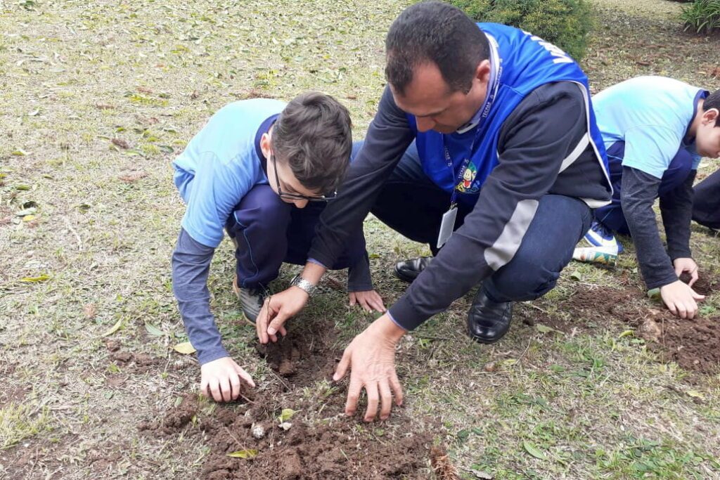 PARANÁ: Dia da Árvore terá plantio de 550 mil mudas em todo o Estado