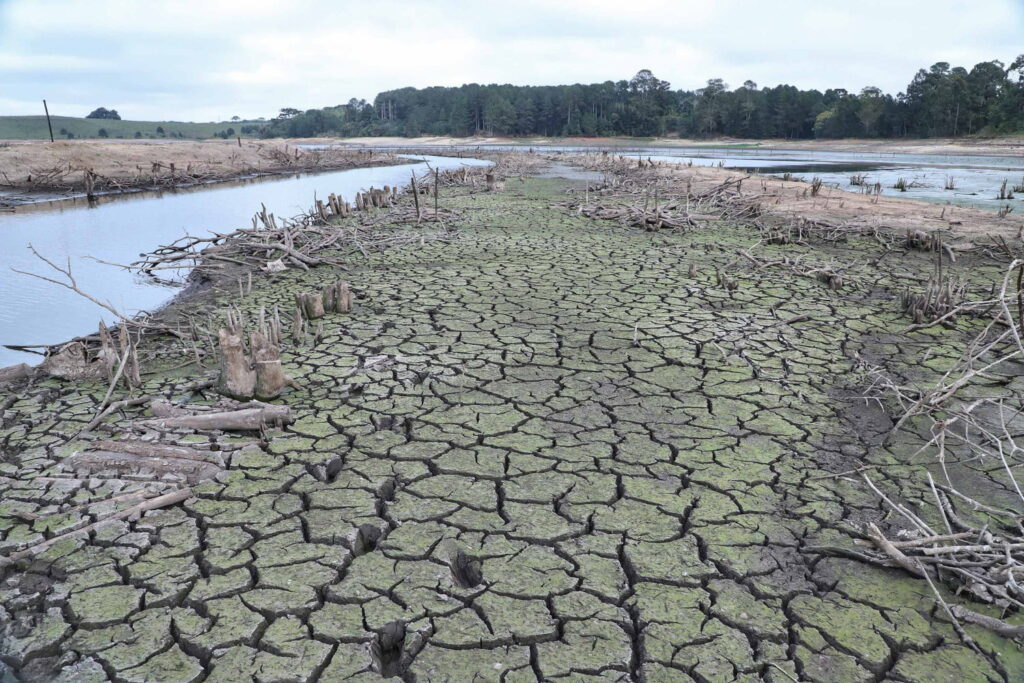 PARANÁ: Economia de água cai e aumenta risco de rodízio mais severo
                
                    Meta é reduzir 20% do consumo para enfrentamento da estiagem. A economia que estava em 16% recuou para 14%. Esse aumento no consumo teve impacto direto no nível das barragens da RMC, que está em 28,66% nesta quarta-feira (21). A Sanepar alerta que é fundamental incorporar o uso racional da água de maneira definitiva.