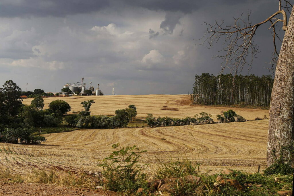 PARANÁ : Startups apresentam projetos inovadores para o agronegócio 
                
                    Primeira série de apresentações do Pitch Paraná mostrou soluções nas áreas de irrigação, comercialização, armazenamento de grãos e biodefensivos. A segunda trará novas ideias para a área de saúde e biotecnologia.