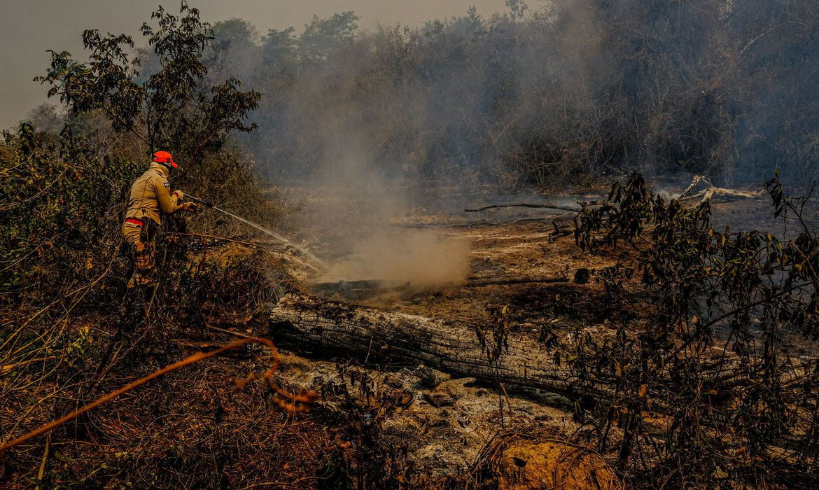 PF e órgãos estaduais apuram causas de incêndios no Pantanal 2