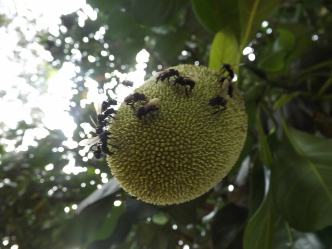 PREVISÃO DO TEMPO: O sol volta a brilha em Maringá na quinta-feira
                
                    Sul do país tem tempo frio e nublado, nesta quinta-feira