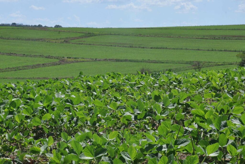 Paraná estuda criar centro de inteligência artificial em Agro