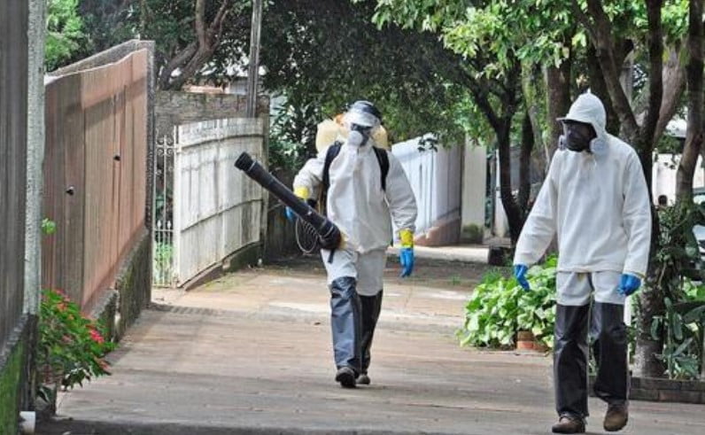 Paraná teve 40% de todos os óbitos por dengue registrados no Brasil