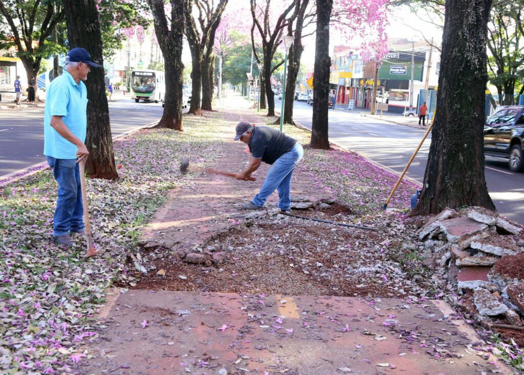 Prefeitura de Maringá realiza manutenção na ciclovia da Avenida Mandacaru