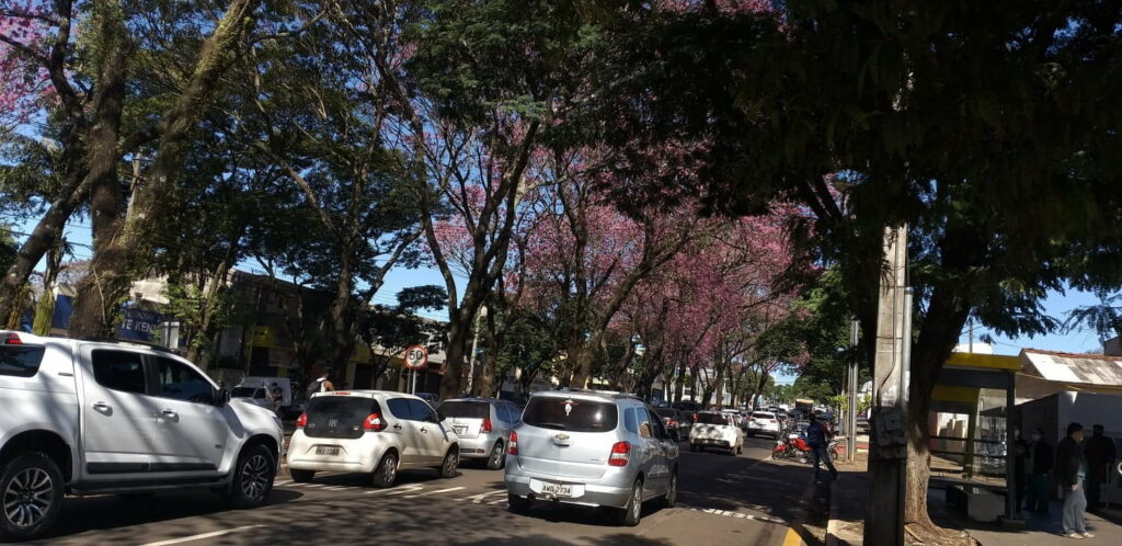 Terça com sol e temperatura que pode chegar a 29 graus na parte da tarde em Maringá 
                
                    Sul do país tem tempo encoberto com pancadas de chuva e trovoadas