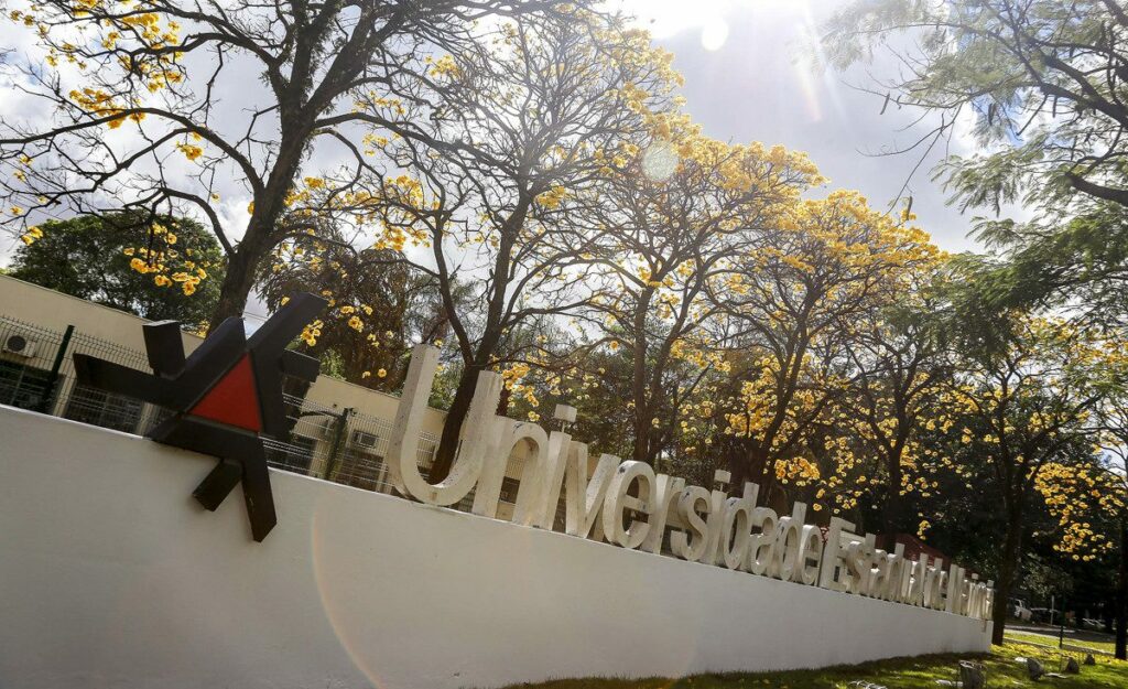 UEM: Veteranos de graduação precisam renovar matrículas até quinta (10)
                
                    Procedimento é obrigatório para estudante da UEM iniciar no ano letivo de 2021, que iniciará no mês de agosto