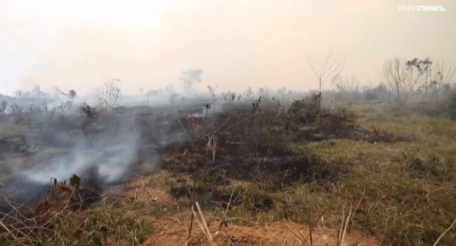 Mais fogos na Amazônia em nove meses do que todo o ano de 2021