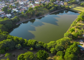 Em comemoração ao "DIA DA ÀRVORE", a Prefeitura de Maringá realiza uma vasta programação ecológica