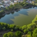 Em comemoração ao "DIA DA ÀRVORE", a Prefeitura de Maringá realiza uma vasta programação ecológica