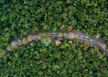 Prefeitura realiza passeio especial com jardineira sobre arborização da cidade no domingo, 25