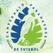 FUTEBOL: MFC Dogão e Aruko participam de arbitral da 1ª Divisão do Paranaense