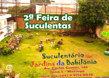 FLORES: Jardim de OFATOMARINGA.COM aberto até as 17h neste sábado (8) 1