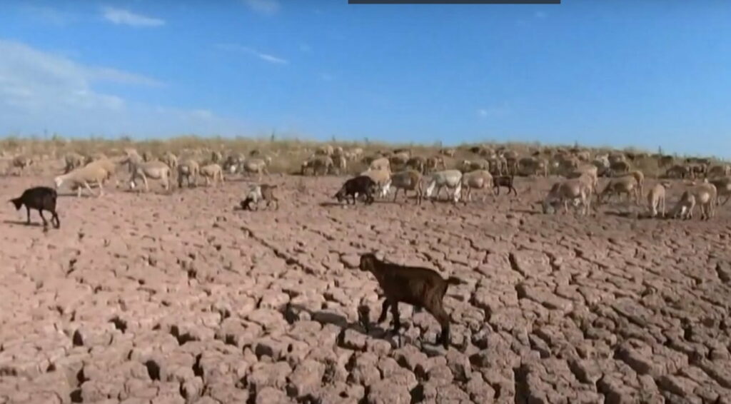 Planeta vai ficar tão quente que humanos não vão resistir em certas regiões 2