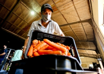 Prefeitura de Maringá abre inscrições para curso de manipulação de alimentos