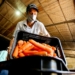Prefeitura de Maringá abre inscrições para curso de manipulação de alimentos